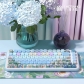 Daisy 104+34 / 54 MDA / Cherry / MCA Profile 4-sided Clear Keycap Set Cherry MX PBT Dye-subbed for Keyboard